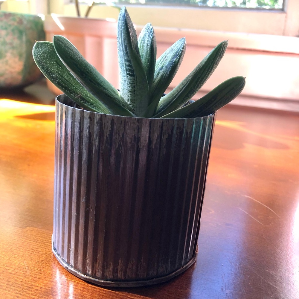 Rustic galvanized metal ribbed small succulent planter